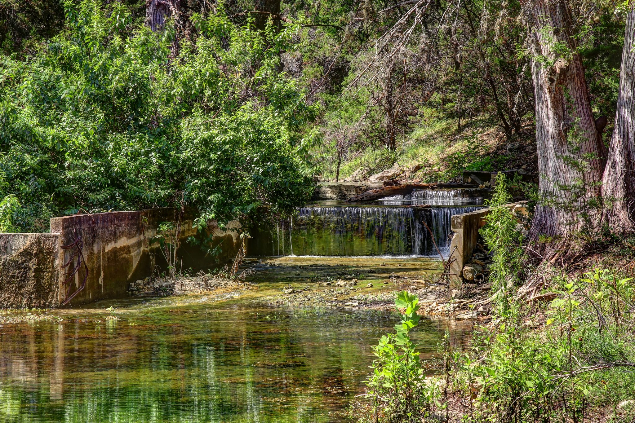 Creekbed-Waterfall-Cypress-Trees-beautiful