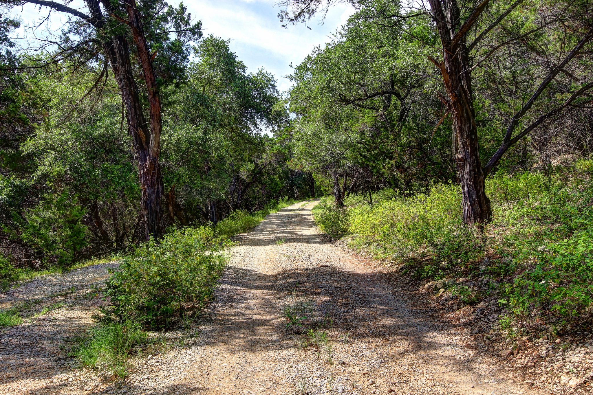 Natural gravel road in Texas Hill Country