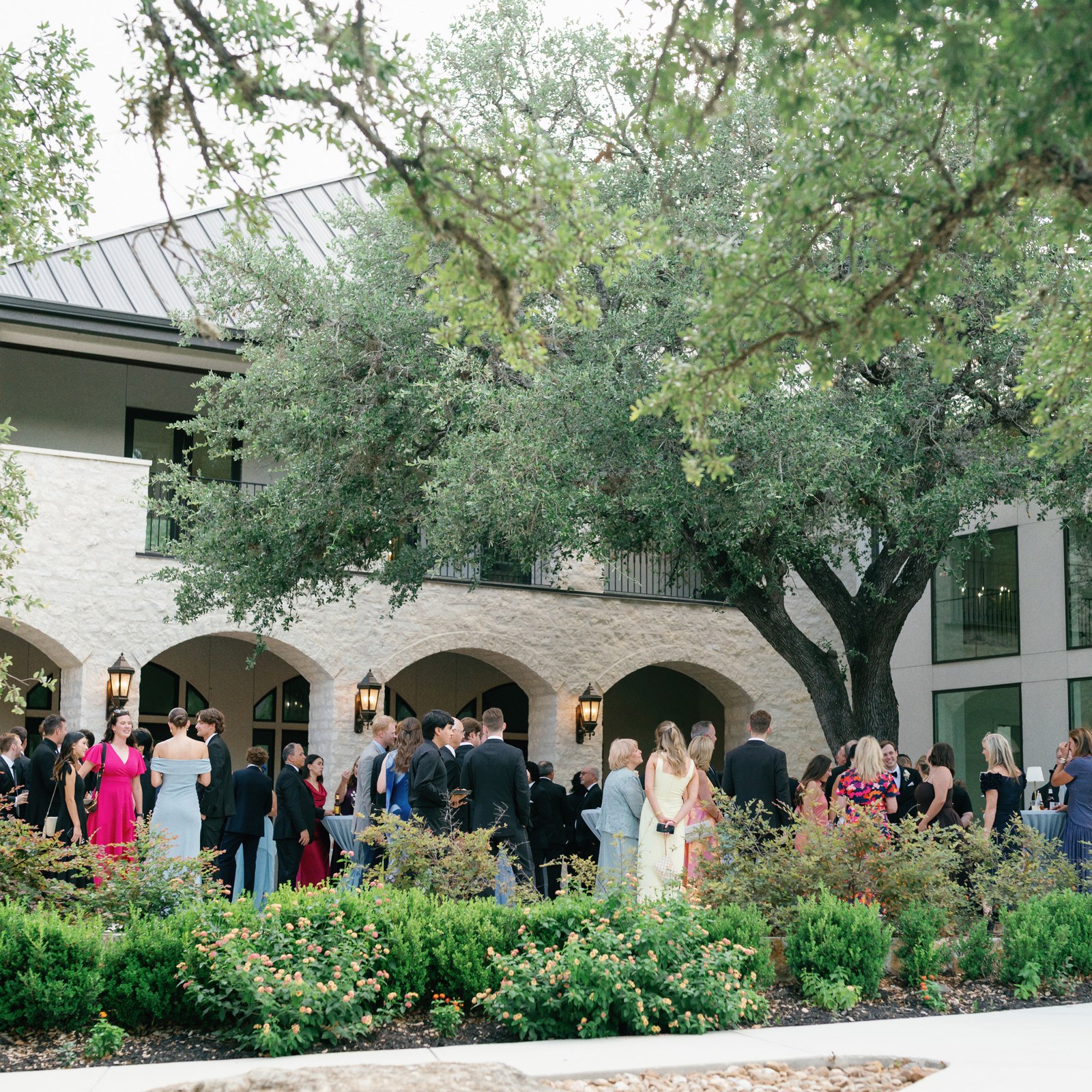 Wedding guests at cocktail hour under the oak trees in the courtyard at The Preserve at Canyon Lake